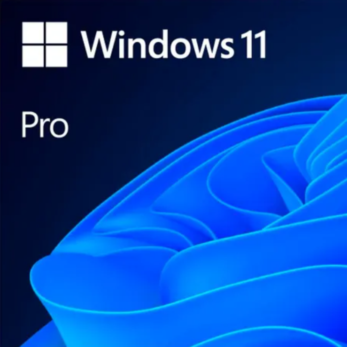 Windows 11 Pro 64 Bits – Mídia USB BOX, Licença Original (HAV-00072)